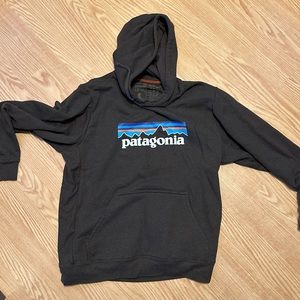 Patagonia Hoodie